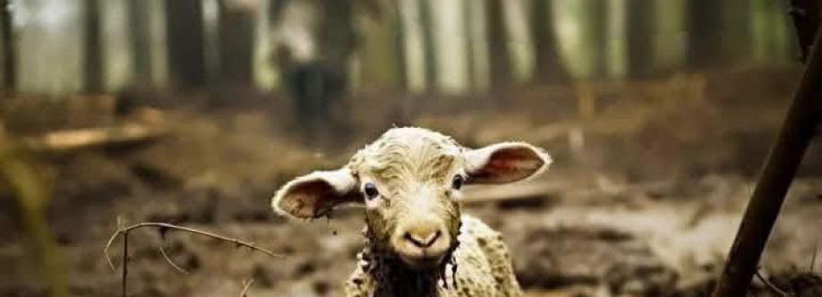 Angela Hussein Cover Image